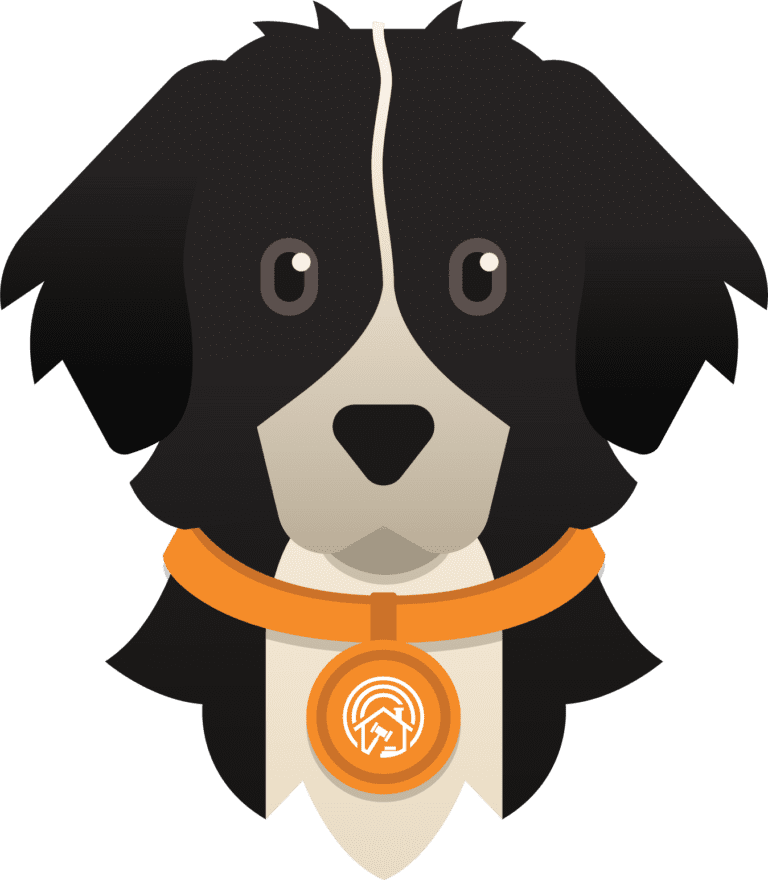 Cartoon render of Finnegan, the mascot. Black dog with a white stripe down his head, wearing an orange collar.